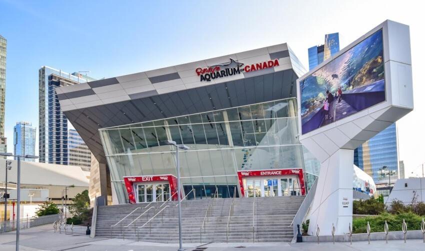 3 Bedroom Beside Cn Tower With Parking Downtown Toronto Exteriör bild